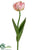 Parrot Tulip Spray - Pink - Pack of 12