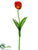 Parrot Tulip Spray - Red Tomato - Pack of 12