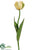 Parrot Tulip Spray - Yellow - Pack of 12