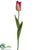 Dutch Tulip Spray - Beauty - Pack of 12
