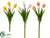 Tulip Bundle - Assorted - Pack of 12