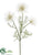 Thistle Flower Spray - White - Pack of 12