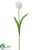 Silk Plants Direct Tulip Spray - Cream White - Pack of 12