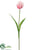 Tulip Spray - Pink Cream - Pack of 12