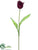 Silk Plants Direct Tulip Spray - Wine - Pack of 12