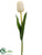 Tulip Spray - Cream White - Pack of 12