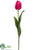 Tulip Spray - Beauty - Pack of 12
