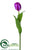 Tulip Spray - Orchid - Pack of 12