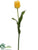 Tulip Spray - Yellow - Pack of 12