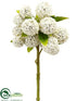 Silk Plants Direct Thistle Ball Spray - Green Cream - Pack of 24