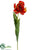 Tulip Spray - Flame - Pack of 12