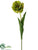 Tulip Spray - Green - Pack of 12