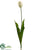 Tulip Spray - Cream - Pack of 12