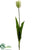 Tulip Spray - Green - Pack of 12
