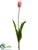 Tulip Spray - Pink Green - Pack of 12