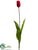 Tulip Spray - Red - Pack of 12