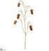 Silk Plants Direct Dipsacus Teasel Spray - Beige Brown - Pack of 12