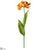 Tulip Spray - Flame - Pack of 12