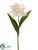 Tulip Spray - White - Pack of 12