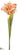 Parrot Tulip Spray - Coral Cream - Pack of 12