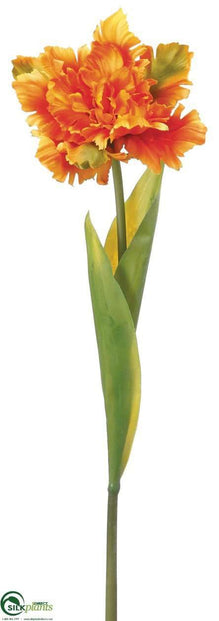 Parrot Tulip Spray - Orange Flame - Pack of 12