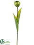 Silk Plants Direct Tulip Spray - Green - Pack of 12