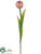 Tulip Spray - Pink - Pack of 12