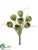 Tulip Bundle - Green - Pack of 12