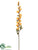 Tuberose Spray - Ivory Two Tone - Pack of 12