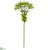 Viburnum Bud Spray - Green - Pack of 6