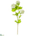 Silk Plants Direct Viburnum Spray - Cream - Pack of 12