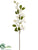 Silk Plants Direct Viburnum Spray - White - Pack of 12