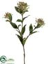 Silk Plants Direct Viburnum Berry Spray - Green - Pack of 12