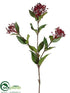 Silk Plants Direct Viburnum Berry Spray - Red - Pack of 12