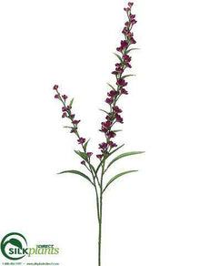 Veronica Spray - Boysenberry - Pack of 12