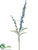 Veronica Spray - Blue - Pack of 12