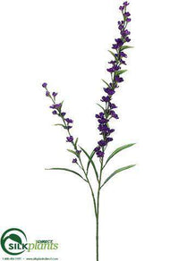 Veronica Spray - Purple - Pack of 12