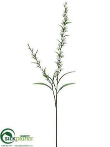 Veronica Spray - White - Pack of 12