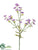 Sweet William Spray - Lavender - Pack of 12