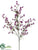 Wax Flower Spray - Lavender - Pack of 12