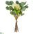 Eucalyptus, Blossom Bundle - Cream - Pack of 12