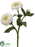 Silk Plants Direct Zinnia Spray - White - Pack of 24