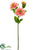 Zinnia Spray - Pink - Pack of 12