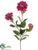 Zinnia Spray - Fuchsia Pink - Pack of 12