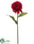 Zinnia Spray - Beauty - Pack of 12