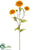 Zinnia Spray - Orange - Pack of 12