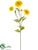 Zinnia Spray - Yellow Gold - Pack of 12