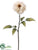 Silk Plants Direct Zinnia Spray - Beige - Pack of 12