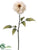 Silk Plants Direct Zinnia Spray - Beige - Pack of 12