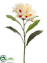 Silk Plants Direct Frangipani Spray - Cream Orange - Pack of 12
